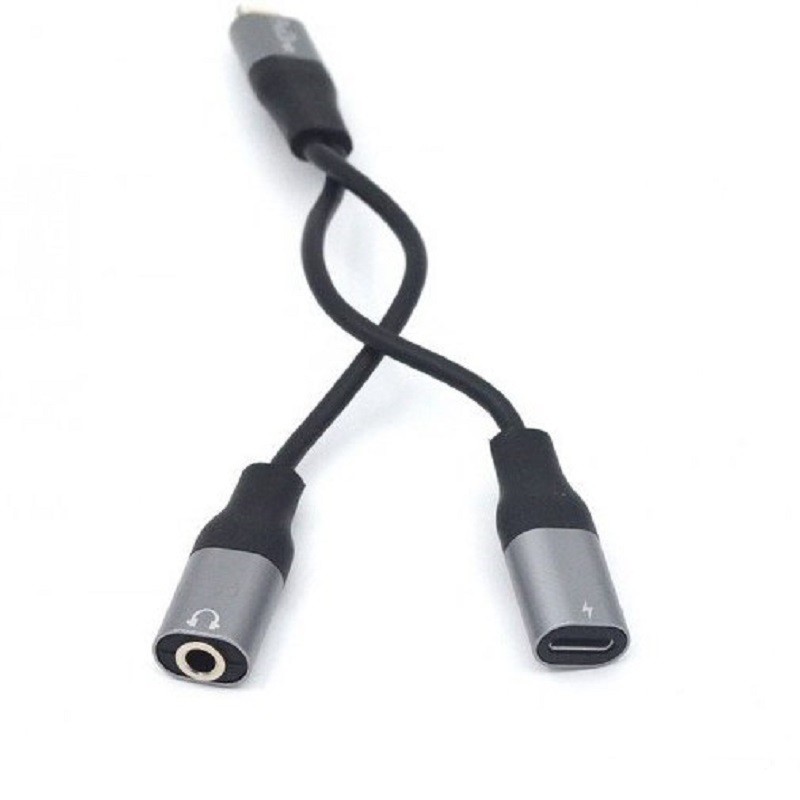 کابل تبدیل لایتنینگ به AUX / USB-C پرووان مدل PCA46