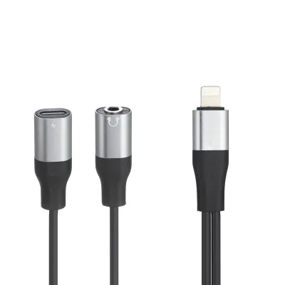 کابل تبدیل لایتنینگ به AUX / USB-C پرووان مدل PCA46